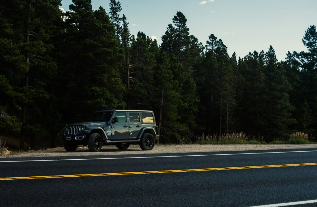 jeep parked near pine forest